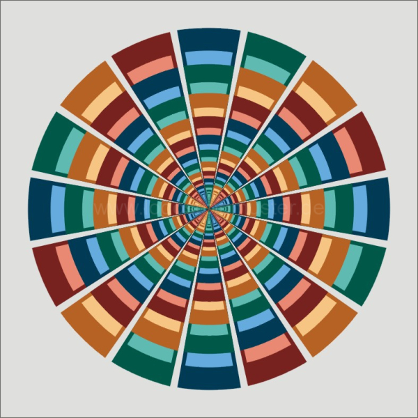 80